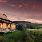 luxury safaris in Tanzania.