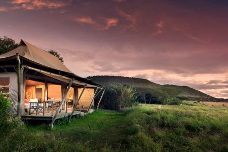 Top 10 Amazing Luxury Safari Camps in Kenya You Must Visit