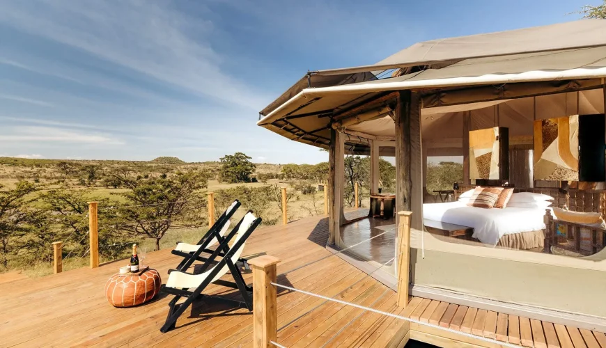 Ultimate Guide to Luxury African Safari Tours