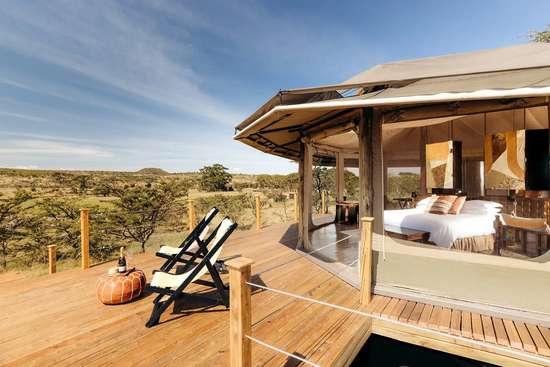 Ultimate Guide to Luxury African Safari Tours