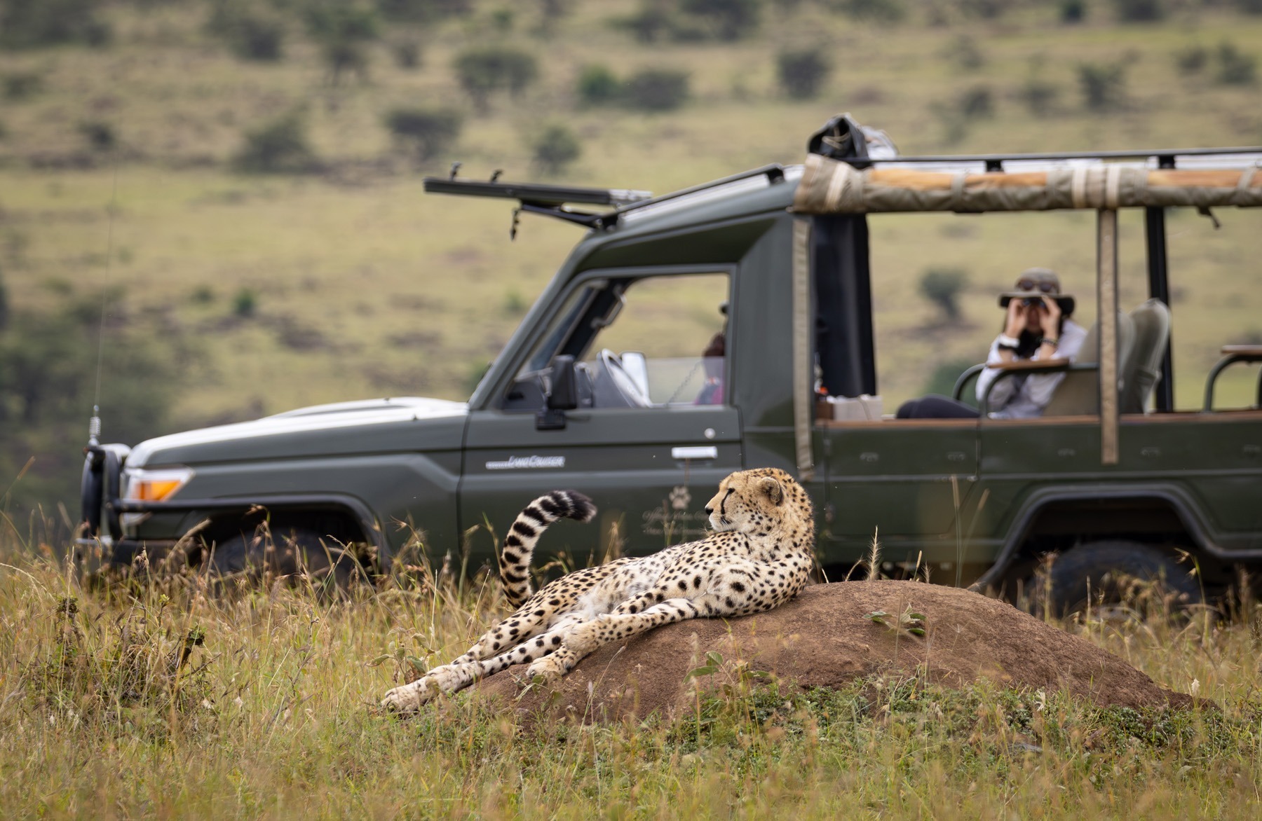 how to plan a luxury safari in Africa.