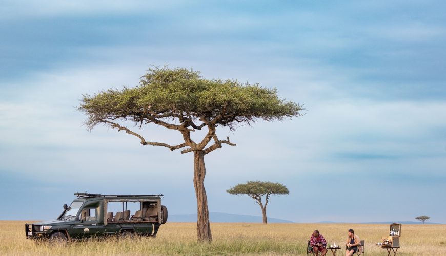 Top 5 Wildlife Encounters on a Luxury Safari in Kenya