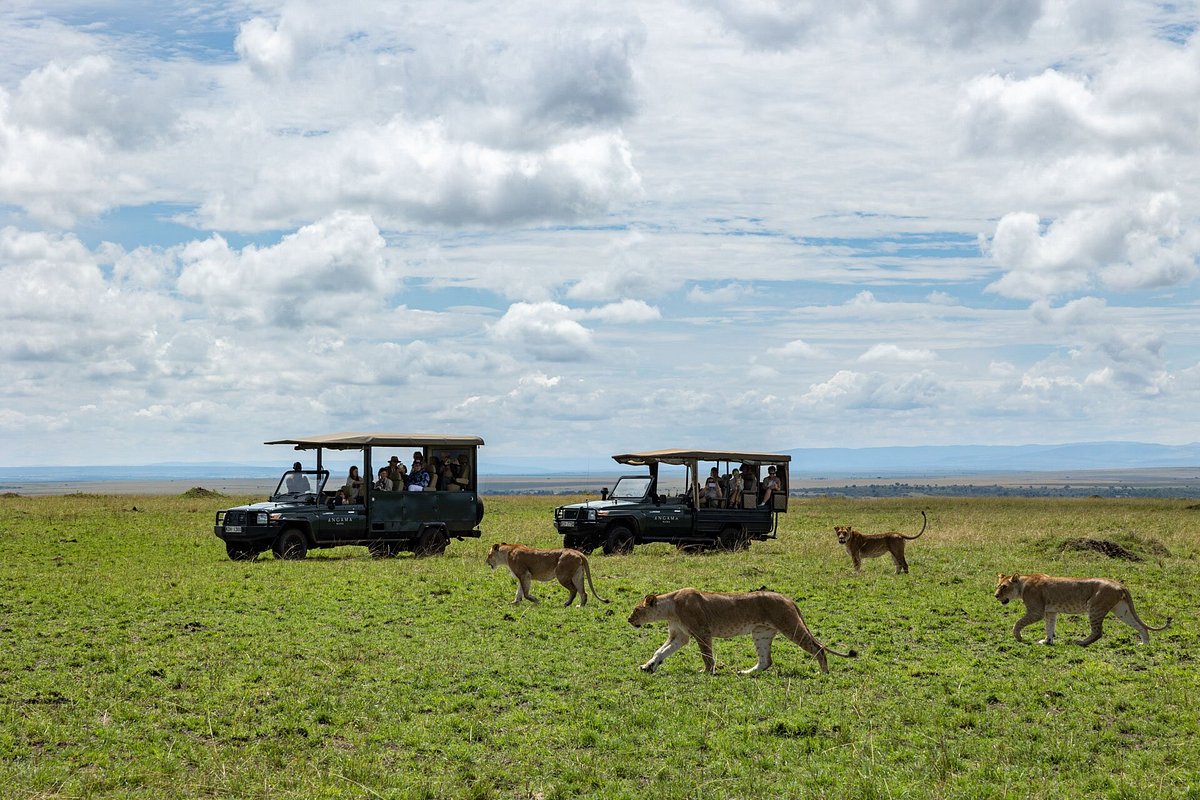 angama mara game drives