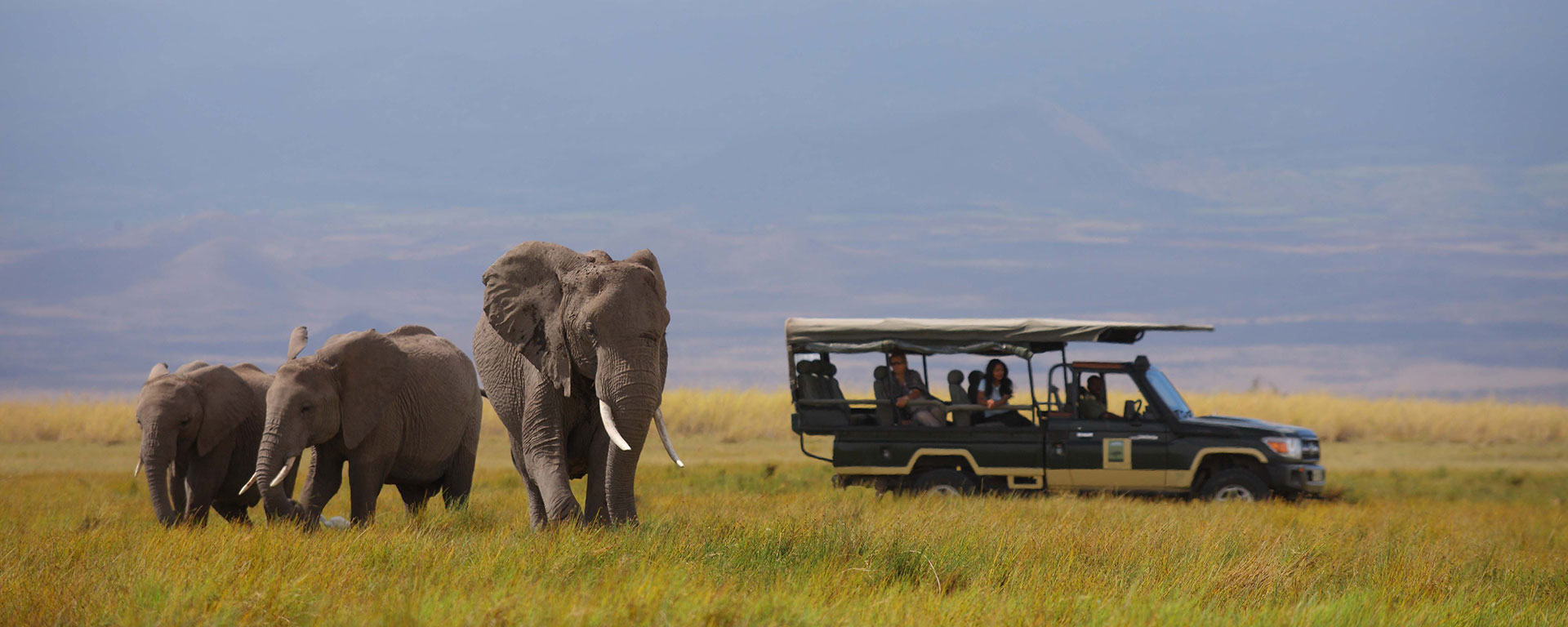 Kenya Safaris