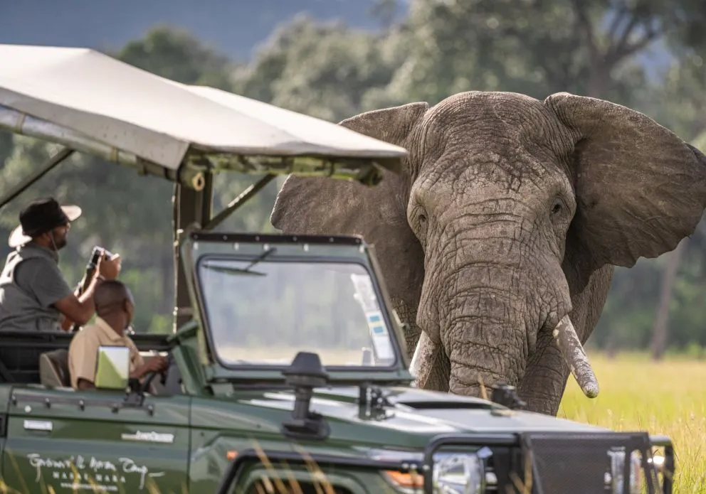 how to plan a luxury safari in Africa.