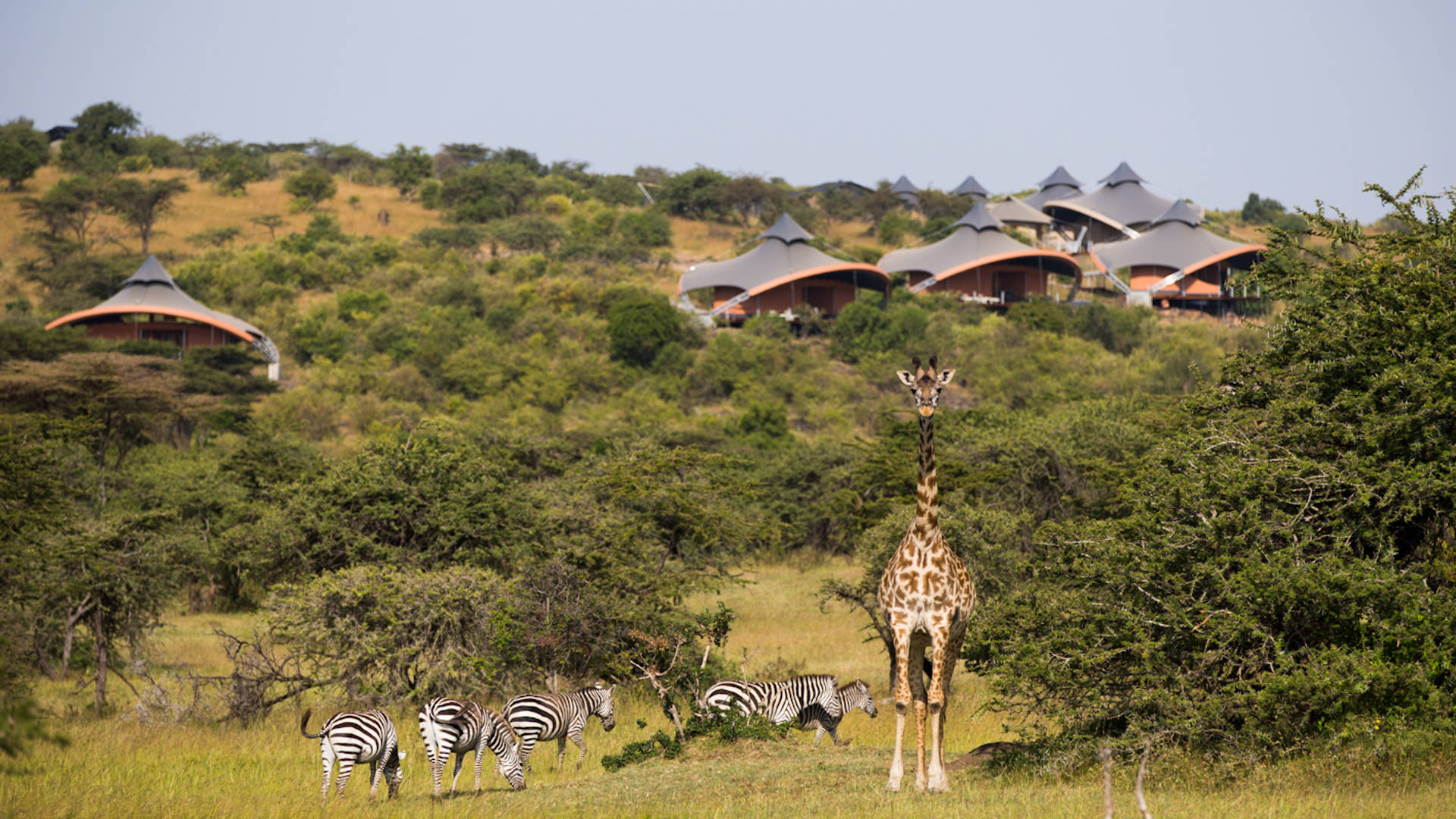 mahali mzuri masai mara