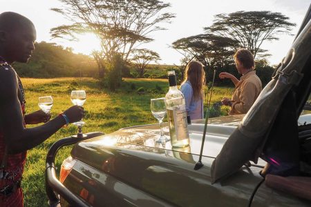 How to Plan a Luxury Safari in Africa: Complete Beginner’s Guide