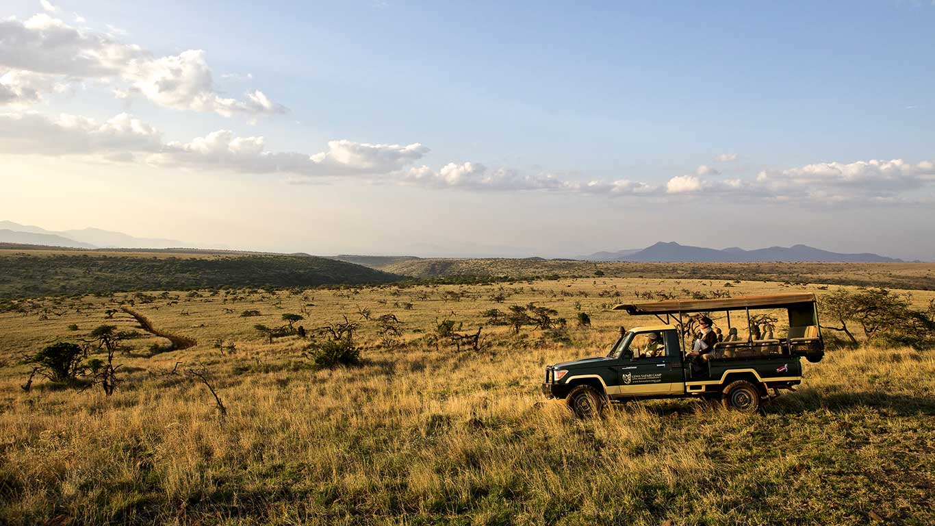 game drive elewana lewa