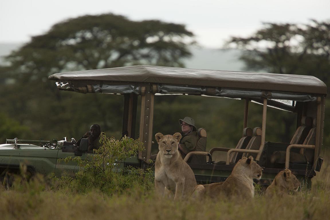 game drive in the mara