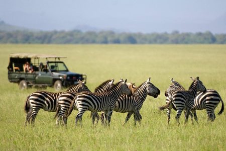 gamedrives at amboseli