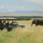 gamedrives in masai mara