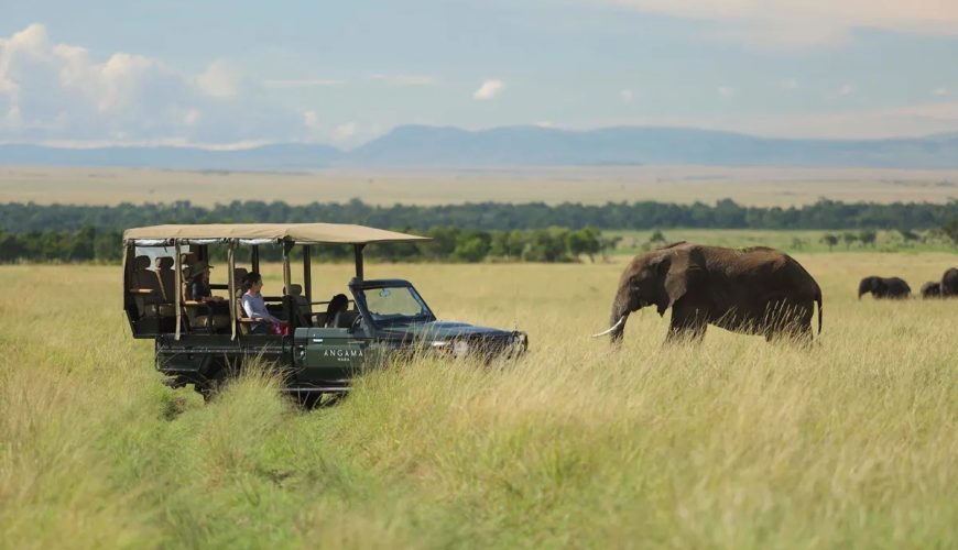 gamedrives in masai mara