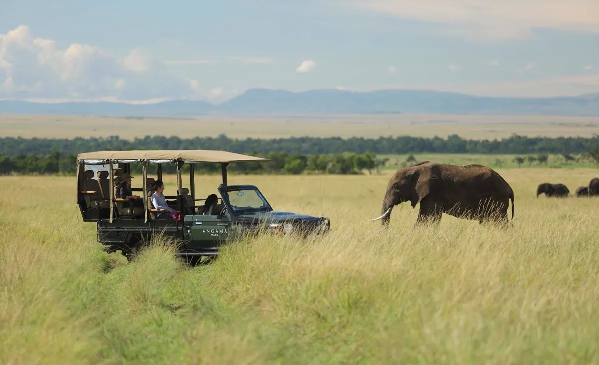 gamedrives in masai mara