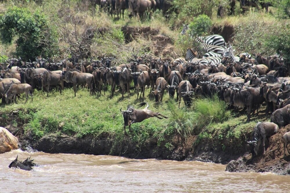 luxury safaris in Tanzania.